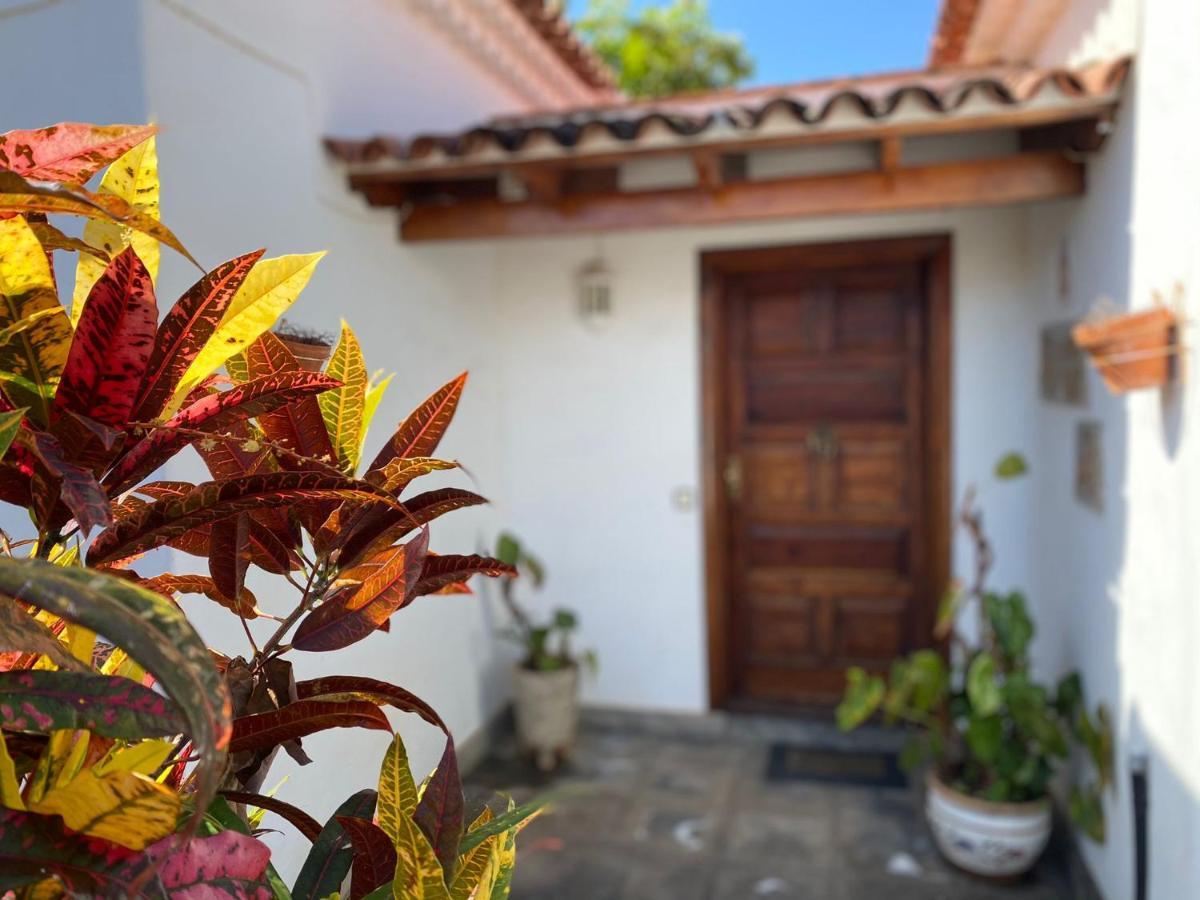 Villa La Paz Puerto de la Cruz  Luaran gambar